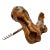 Vintage French Grapevine Corkscrew For Sale