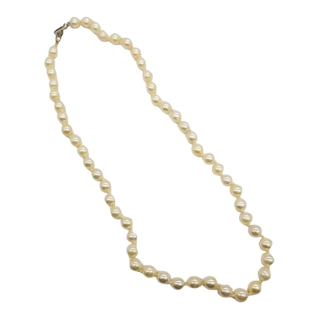 Mid-Century South Sea Roud Pearl Choker Necklace on Silk Cord W/ Silver Clasp For Sale