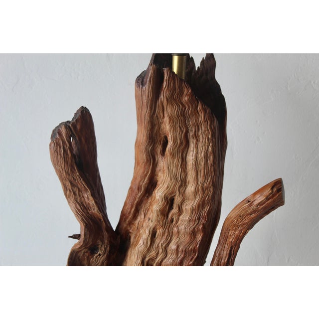 Brown Mid 20th Century Monumental Driftwood Table Lamp Coastal Rustic For Sale - Image 8 of 16