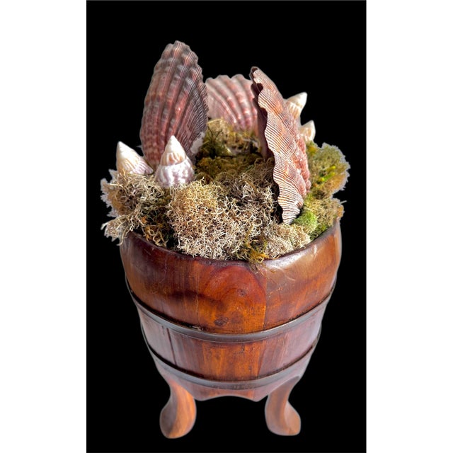 50s Chinese Wood Foot Tub Shell Collection Vase Natural Bowl Asian Chinoserie Vintage For Sale - Image 14 of 18