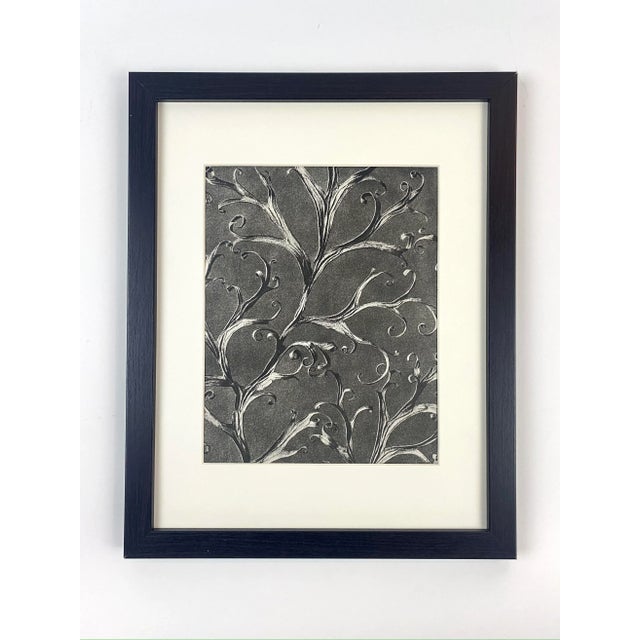 1940s 1940s Framed Botanical Blossfeldt Print - No. 40 For Sale - Image 5 of 5