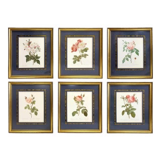 Set of Six Framed Redoutè Rose Botanical Prints For Sale