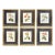Set of Six Framed Redoutè Rose Botanical Prints For Sale