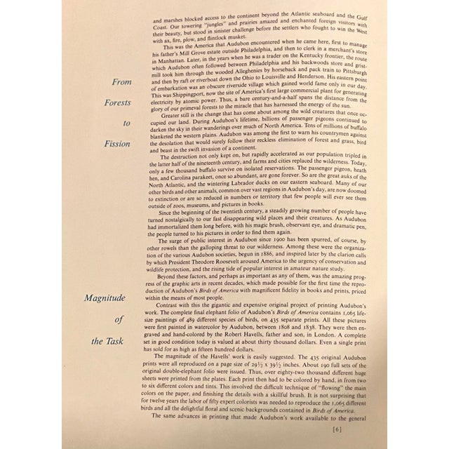 1960s Audubon Folio Prints John James Audubon Baltimore Oriole Framed For Sale In Los Angeles - Image 6 of 9