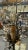 Mid 20th Century French Pair of Wrought Iron and Crystal Branch Chandeliers For Sale - Image 5 of 10