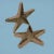 Starfish by Mario Lopez Torres There are minor imperfections to the hand-made woven rattan. Est. 1974. Brass accents. (see...