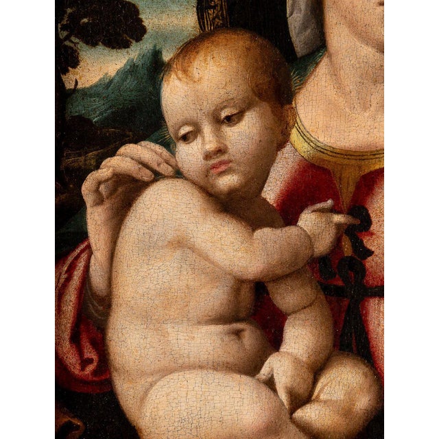 Domenico Capriolo, Virgin and Child in a Landscape, 1500s, Oil on Panel For Sale - Image 6 of 7