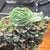 20th Century Chinese Art Jade Vase Sculpture, 1900 For Sale - Image 12 of 12