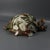 Wedgwood Majolica Bird on Nest Wall Pocket For Sale - Image 4 of 11