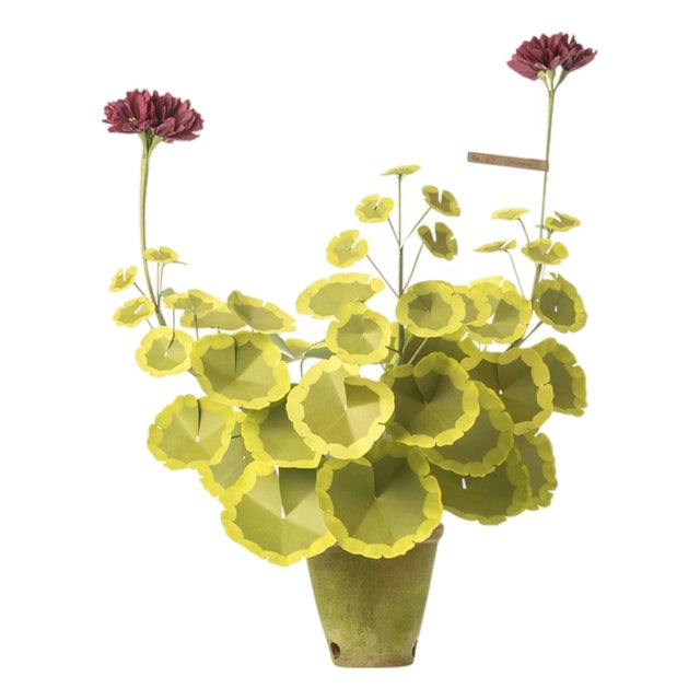 The Green Vase Geranium Plant in Burgundy For Sale