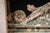 Late 19th Century Victorian Painted Cast Iron Architectural Pediment For Sale - Image 16 of 18