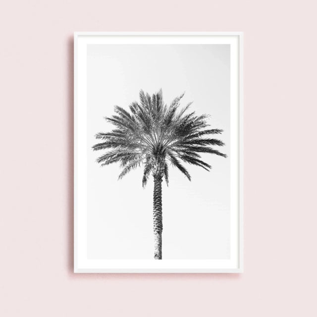 Black 'Palm Tree' Art Print, Large Contemporary Minimalist Black and White Fine Art Photograph, Tropical Coastal Wall Art, 24 X 36" Photography Print For Sale - Image 8 of 8