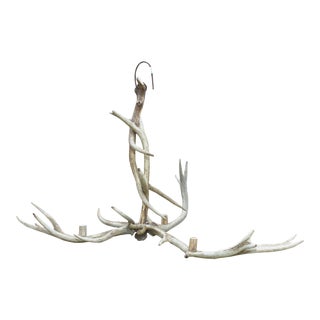 Antique Bleached Antler Chandelier Found in France For Sale