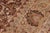 1990s Art Nouveau 1990's Pak-Persian Brown/Tan Wool Rug - 9'1'' X 12'2'' For Sale - Image 5 of 9