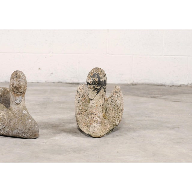 Stone Vintage Pair of Stone Swan Planters From England For Sale - Image 7 of 11