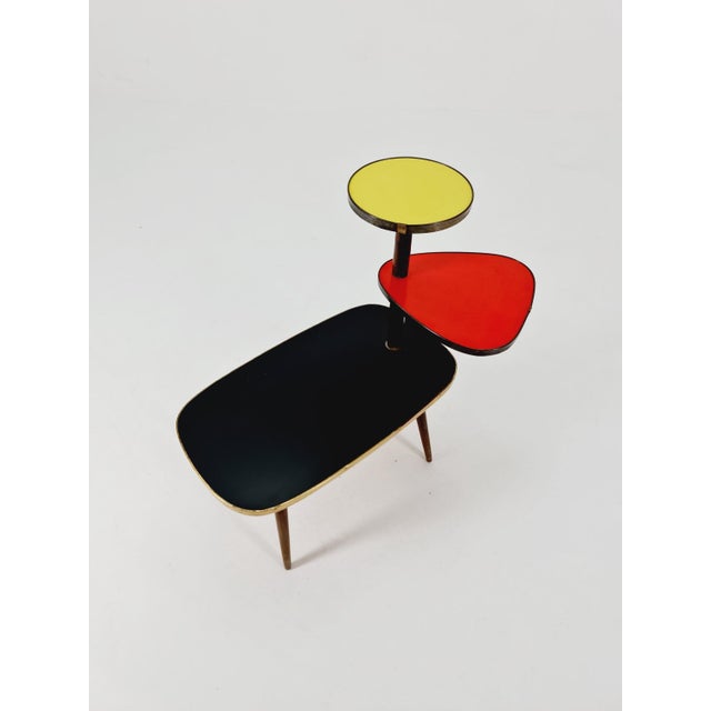 Brown Minimalist German Indoor Flower Table, 1960s For Sale - Image 8 of 10