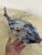 Italian Murano Glass Fish, 1970 For Sale - Image 11 of 12