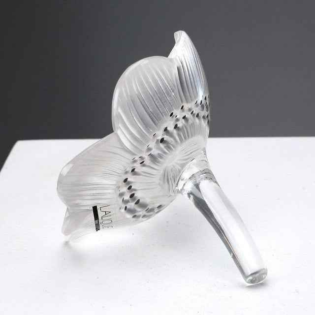 Glass Anemone from Lalique For Sale - Image 4 of 8