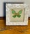 Lovely butterfly painting on canvas in a mother of pearl tasselated frame.
