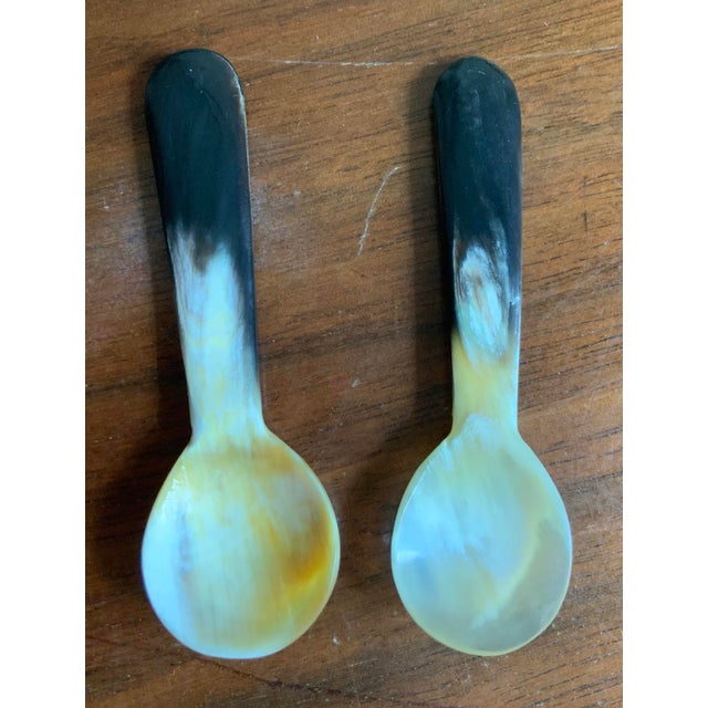 Cream Vintage Hand Carved Horn Caviar Serving Dishes - Set of 5 Pcs. For Coastal, Natural, British Colonial & Palm Beach Regency Entertaining. See Pics! For Sale - Image 8 of 9