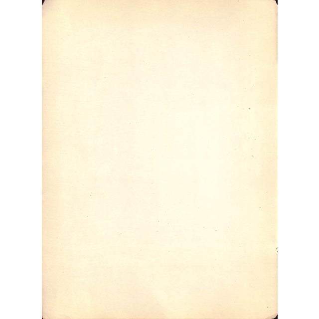 Art Sz: 13 3/4"H x 10 1/4"W Carlo de Fornaro (sometimes spelled Carlo di Fornaro) (1872–1949) was an artist, caricaturist,...