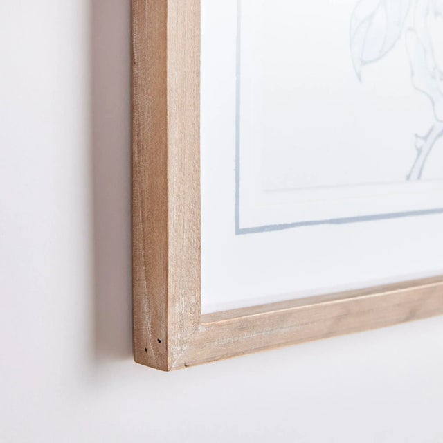 This set of four bird illustrations in soothing tones of blue is made for the traditional to transitional space. The real...