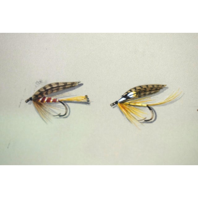 Wood "7 Wet Trout Flies" 1997 Watercolour by Harry Spencer For Sale - Image 7 of 7