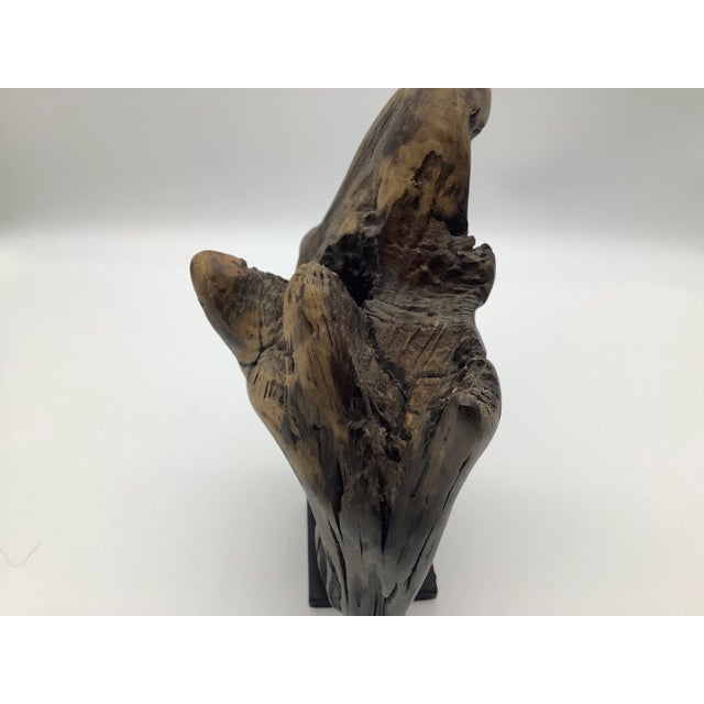 Contemporary Late 20th Century Driftwood Sculpture For Sale - Image 3 of 13