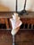 3 Baroque Mounted Seashell Specimens Displays on 19th Century Dark Wooden Stands For Sale In Palm Springs - Image 6 of 11