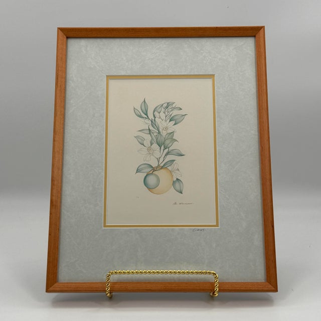Traditional Margot Weemaes 1981 Citrus Botanical Portfolio Print For Sale - Image 3 of 12
