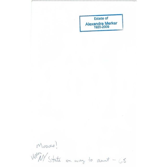 Alexandra Merker (1920-2009) MCM bovine painting on glossy heavy paper. Singed lower left; inscribed and estate stamp on...