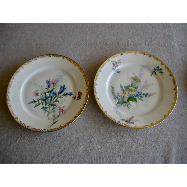 Ceramic Set of 12 Sevres Botanical Plates, 1874 For Sale - Image 7 of 12