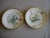 Ceramic Set of 12 Sevres Botanical Plates, 1874 For Sale - Image 7 of 12
