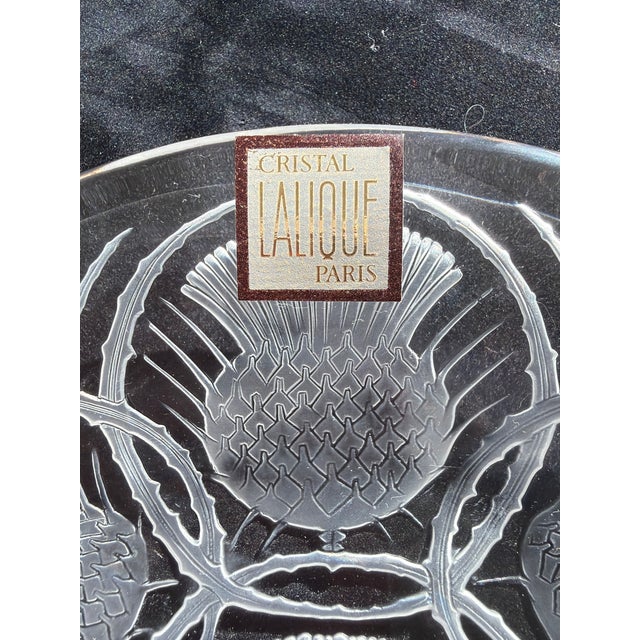 1950s "Lalique France Cristal Chardon Thistle Plates Set of 7 – 6 W/ Original Labels" For Sale In Los Angeles - Image 6 of 7