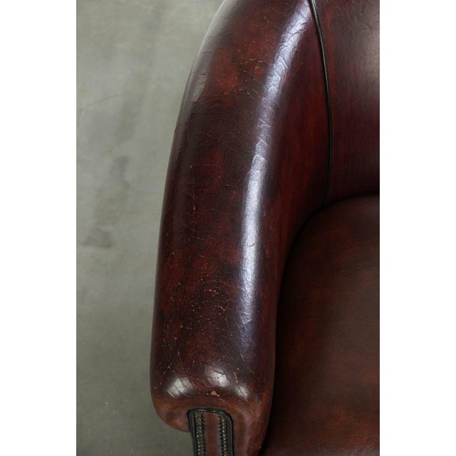 Vintage Sheepskin Club Armchair For Sale - Image 7 of 13