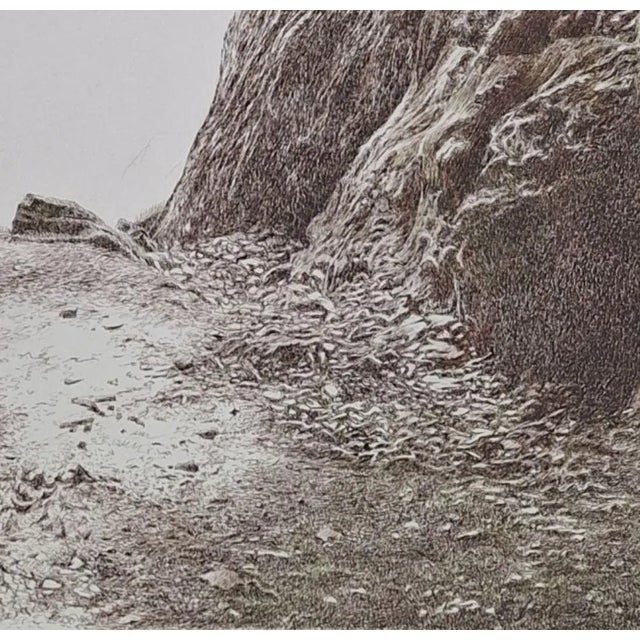 Elzbieta Siegoczynska, Ravine, 2025, Ink on Paper For Sale - Image 3 of 6