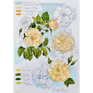 "Climbing Rose (Sky Is the Limit)" Contemporary Botanical Study Mixed-Media Drawing For Sale