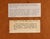 Antique Botanical Prints by Sir Joseph Paxton From the Magazine of Botany For Sale - Image 12 of 16