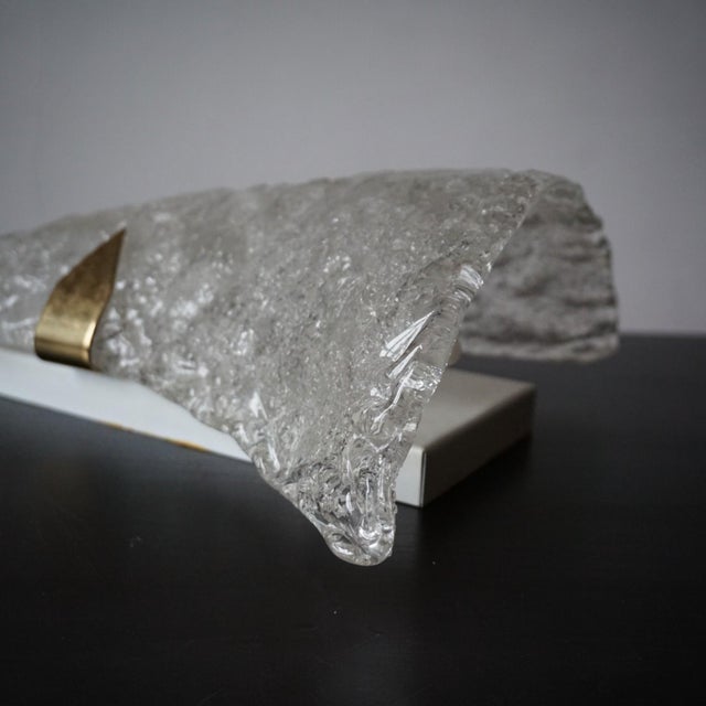 Murano Ice Glass Wall Lamp by Egon Hillebrand for Hillebrand Lighting, 1960s For Sale - Image 9 of 11
