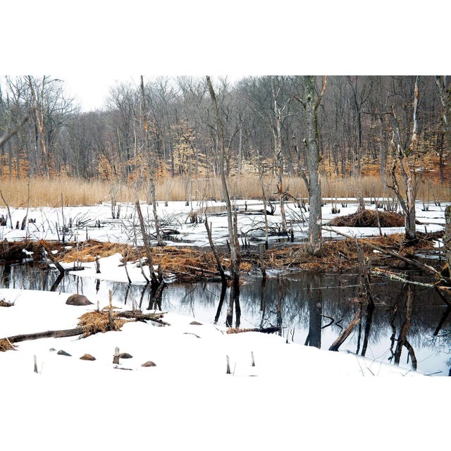 "Tuxedo" Contemporary Original New York Landscape Photograph by Michael Filonow For Sale