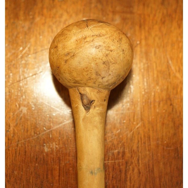 Antique Irish Knobkerrie Stick For Sale - Image 13 of 18