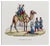 Unknown, Dromedary, Hand Colored Lithograph, 19th Century For Sale