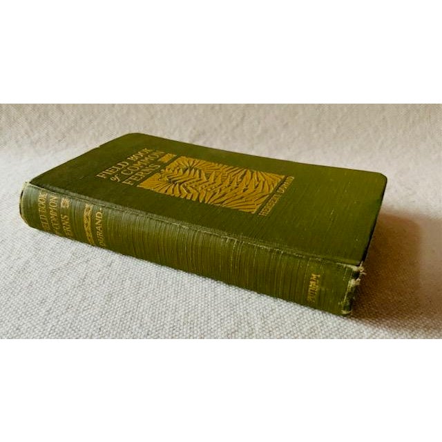 Antique Field Book of Common Ferns - 1928 First Edition For Sale - Image 14 of 14