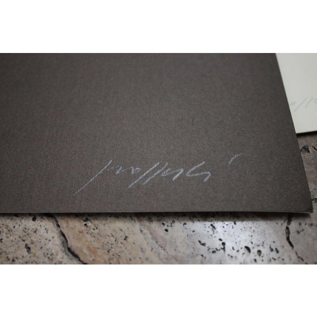 Paper Lithograph by Concetto Pozzati, 1974 For Sale - Image 7 of 10
