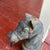 Victorian Antique Cast Iron Horse Head Post Topper For Sale - Image 3 of 8