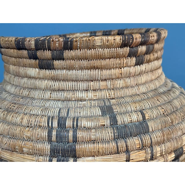 20thC 17” Polychrome Pima Akimel Oodham in the Style of Native American Olla Basket Dual Register Human & Deer Motif Willow Devils Claw and Yucca Root For Sale - Image 13 of 14