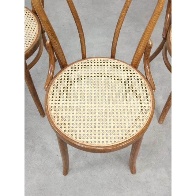 Vintage No. 18 Dining Chair by Michael Thonet For Sale - Image 5 of 18