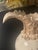 Victorian Antique Victorian Ewer Pitcher Hand Painted Florals Gold Trim 11" Ruffled #409 For Sale - Image 3 of 11