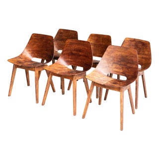 Tonneau Dining Chairs by Pierre Guariche, Set of 6 For Sale