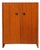 Vintage Mid-Century Teak Laminate Two-Door Storage Cabinet For Sale